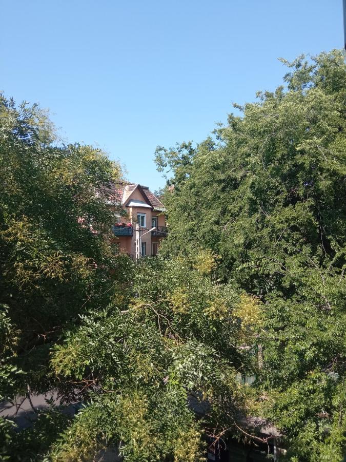 Free Parking, Balcony, Near To City Park Budapest Exterior photo