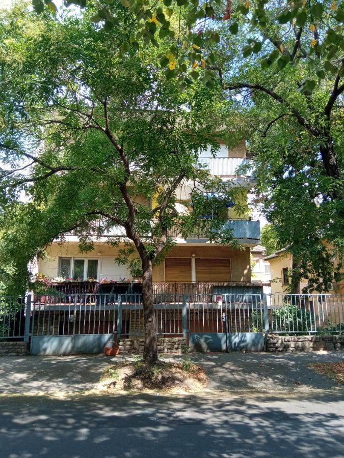 Free Parking, Balcony, Near To City Park Budapest Exterior photo