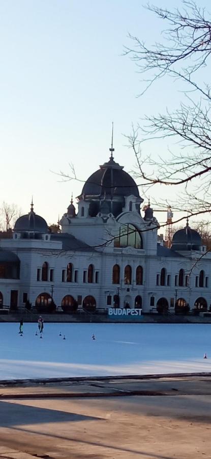 Free Parking, Balcony, Near To City Park Budapest Exterior photo